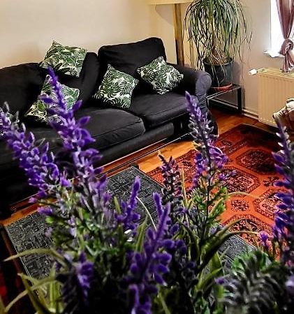 Bright Studio Close To Zaventem Airport 布鲁塞尔 外观 照片