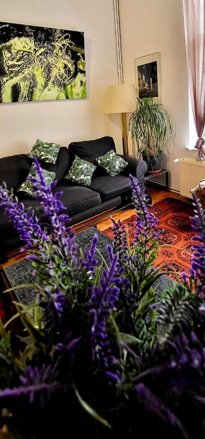 Bright Studio Close To Zaventem Airport 布鲁塞尔 外观 照片